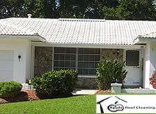 White tile roof after cleaning